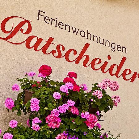 Ferienwohnungen Appartements Patscheider Финкенберг Екстериор снимка